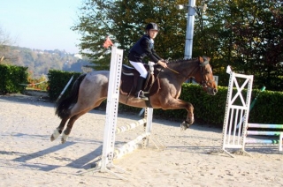Des emotions a cheval